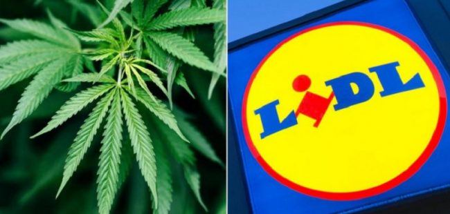 Cannabis al supermercato: Lidl la propone in Svizzera