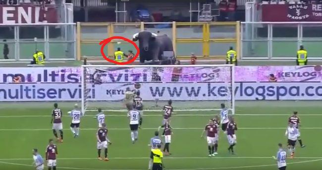 Steward torinese colpito da punizione di Candreva operato d’urgenza alla milza