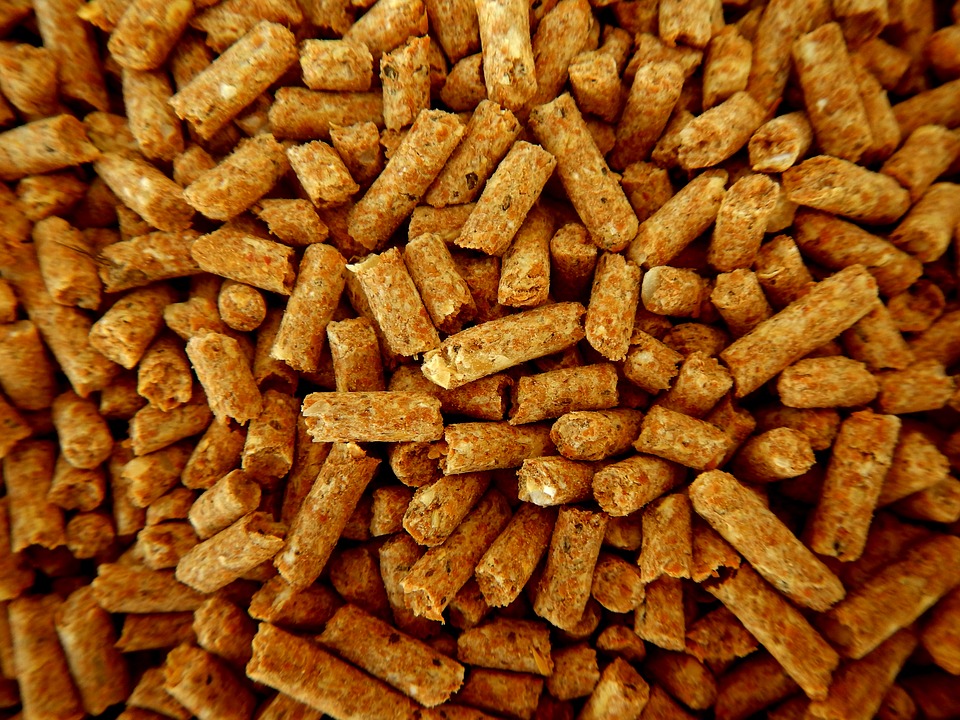 Uncem: “Ridurre iva su Pellet e legna”