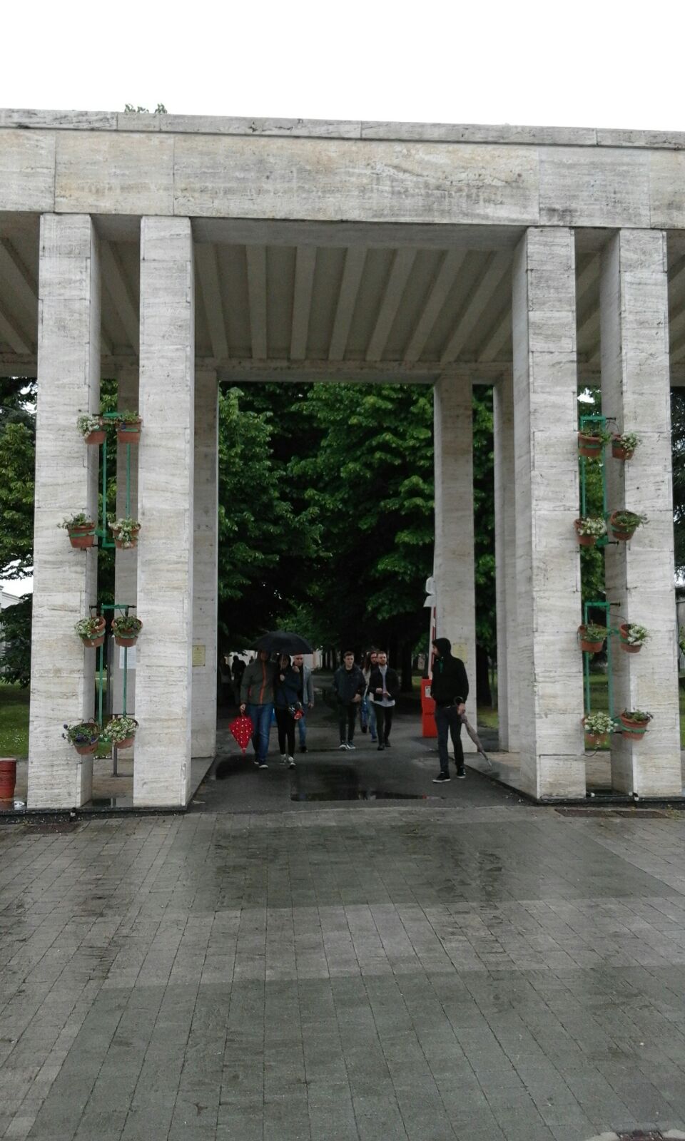 Assa Cimitero fioriture2