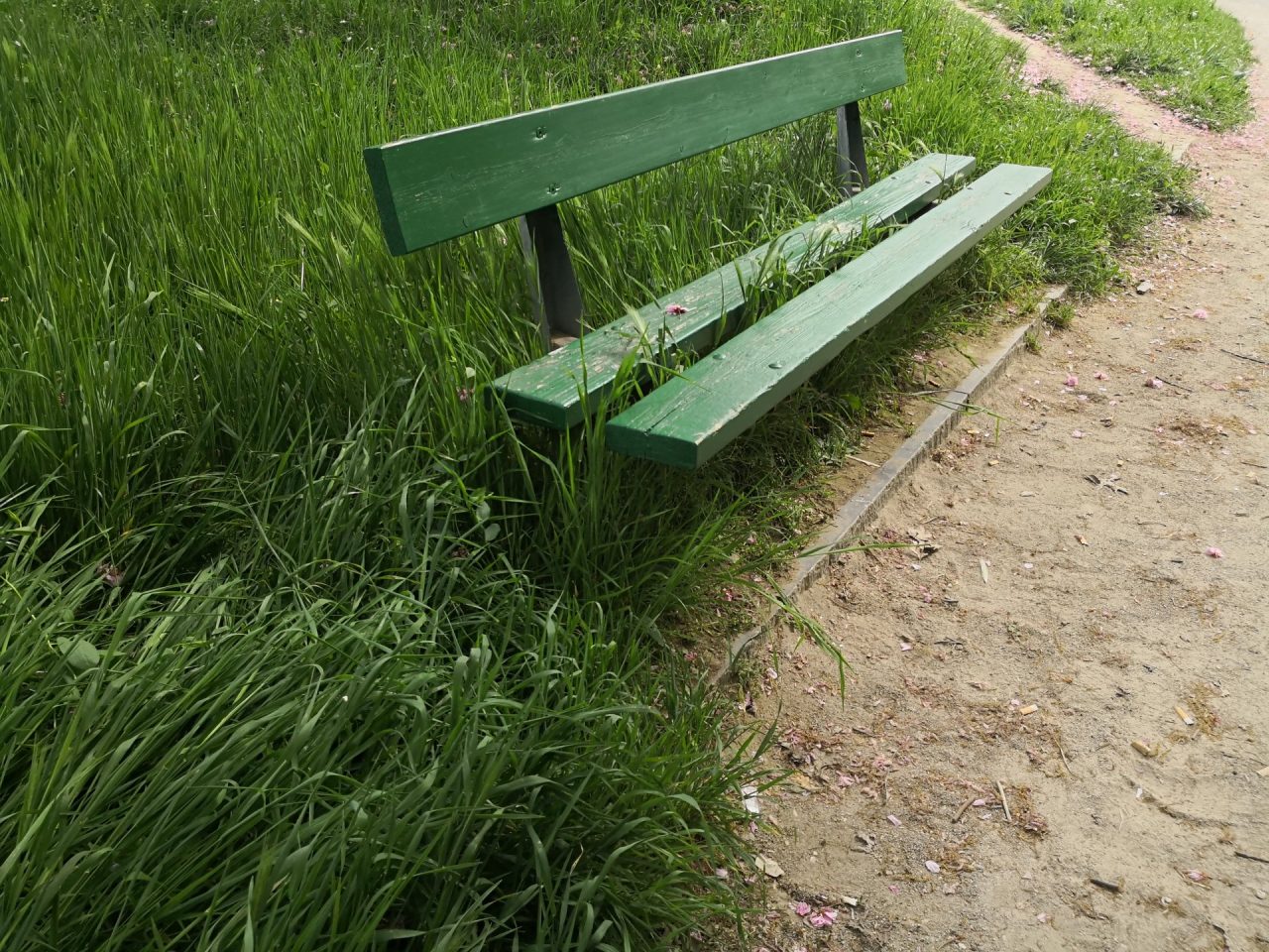 «Manutenzione, viabilità e decoro urbano: Canelli delude»