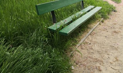 «Manutenzione, viabilità e decoro urbano: Canelli delude»