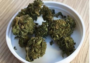 Pusher fermato dalla Polizia si mangia la marijuana
