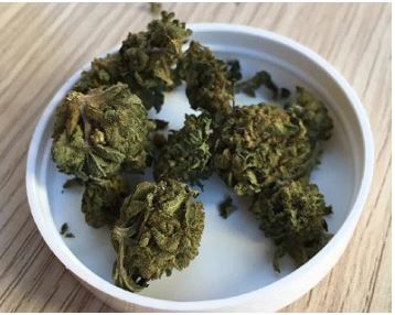 Marijuana legale: sul lago Maggiore è boom di vendite