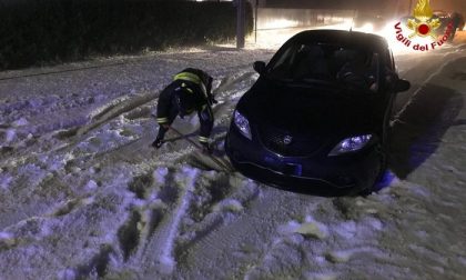 Maltempo serre e coltivazioni distrutte