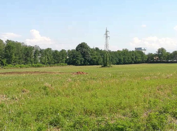 Sospeso pagamento della prima rata dell’Imu su terreni incolti a Invorio