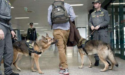 Atterrano foglie di coca all'aeroporto