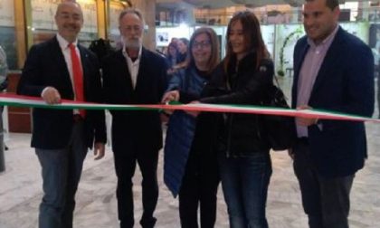 Domus, la fiera della casa alla Sala Borsa di Novara