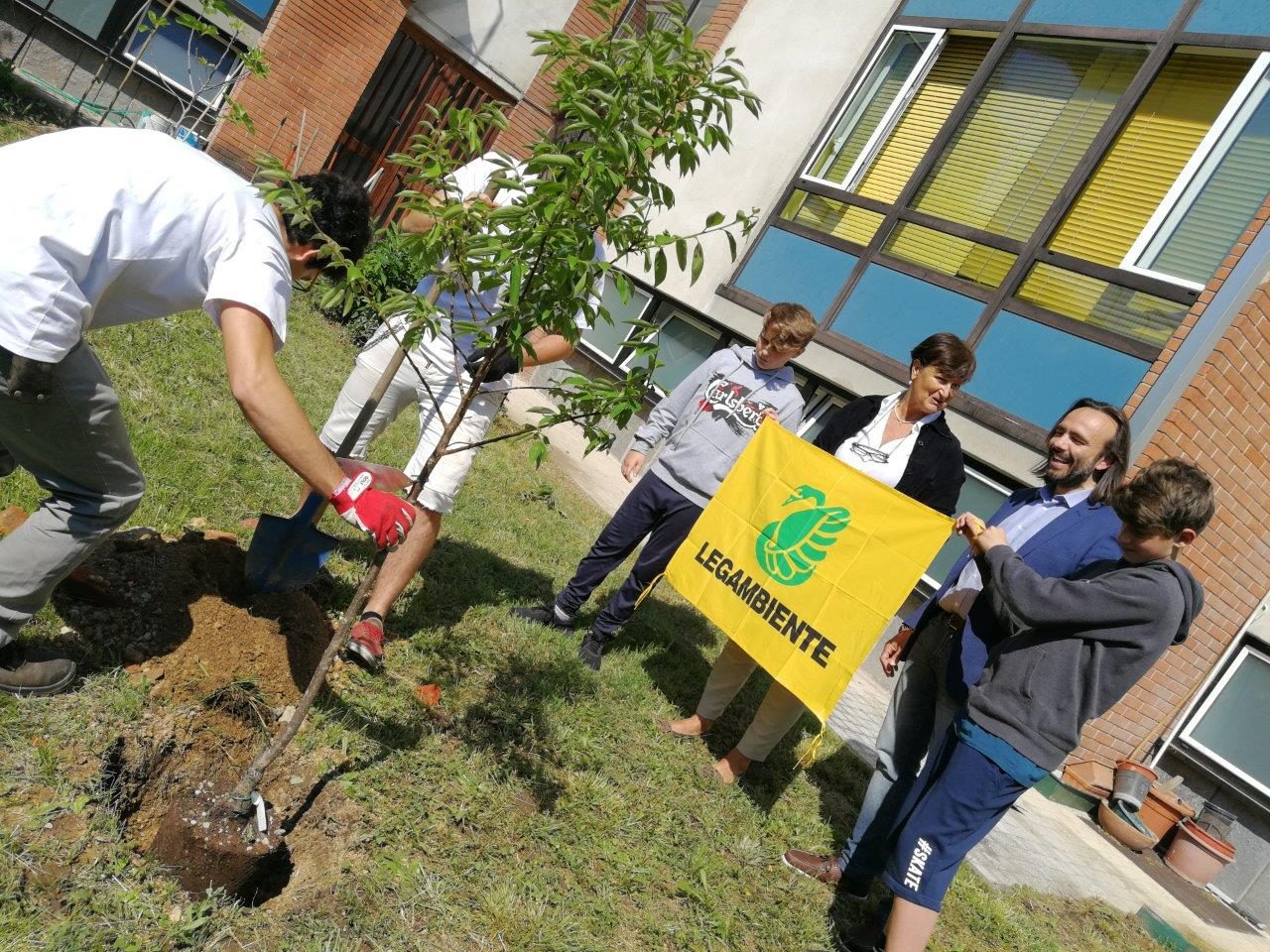 Alberi per il futuro: nuova piantumazione nella scuola Giovanni XXIII di Arona