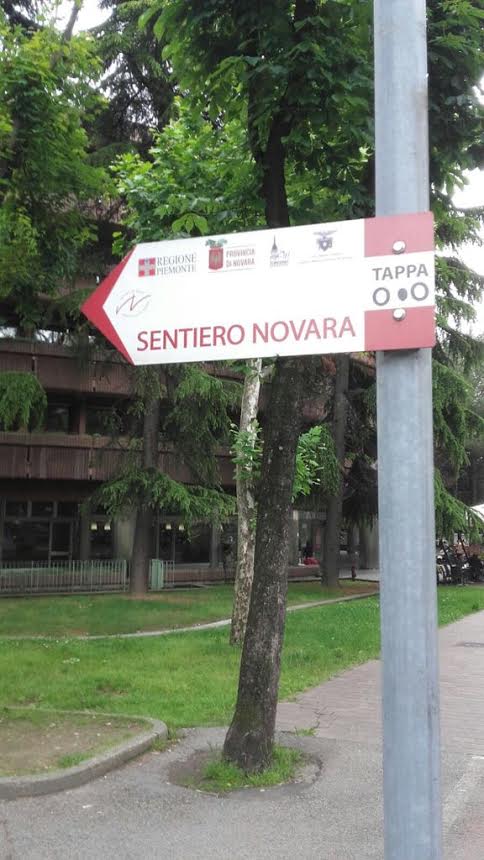 foto 2 (16)