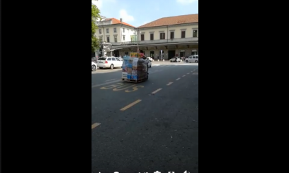 Novara a spasso con il muletto in centro