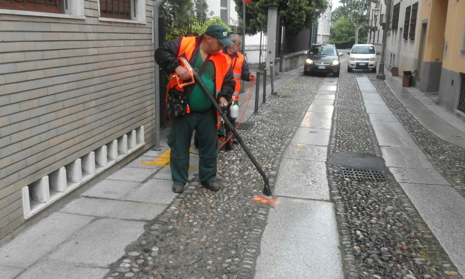 pirodiserbo