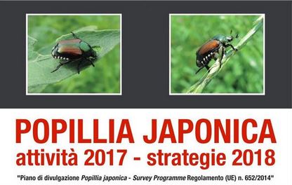 Popillia Japonica oggi l’incontro tecnico a Borgomanero