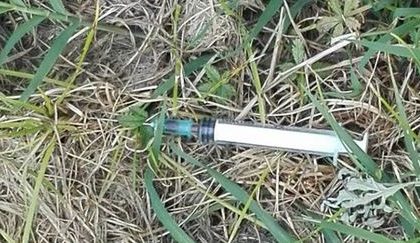 Pericolo siringhe abbandonate a Novara