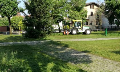 Taglio del verde, diserbo e decoro urbano, Assa all'opera FOTOGALLERY