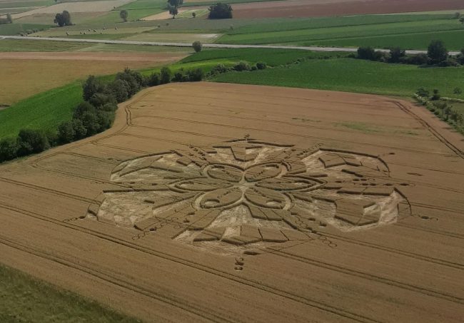 Misteriosi cerchi nel grano apparsi nel torinese