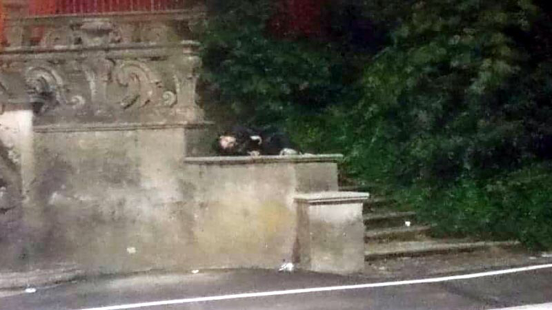 Movida aronese: ragazzo “dorme” sotto Villa Cantoni