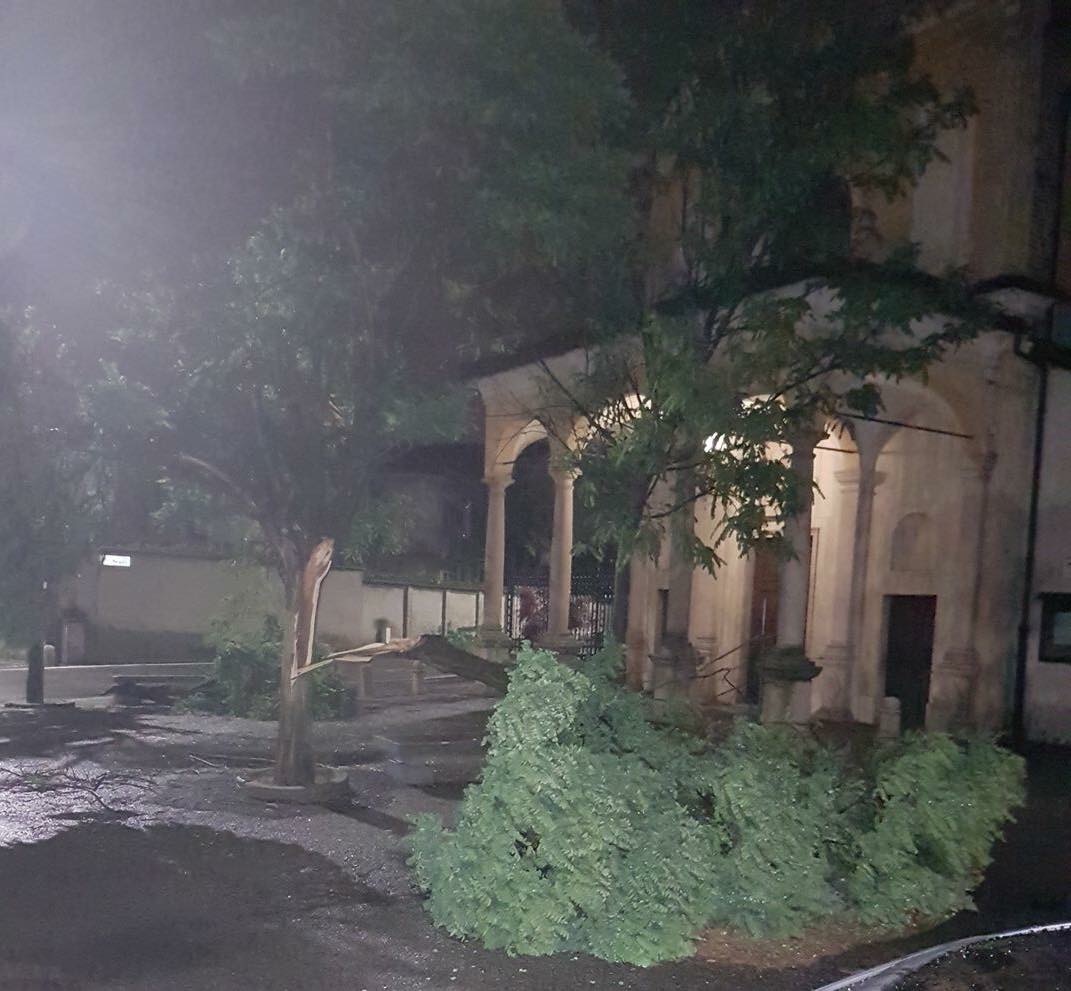 Pianta abbattutta e tutti al buio per il maltempo