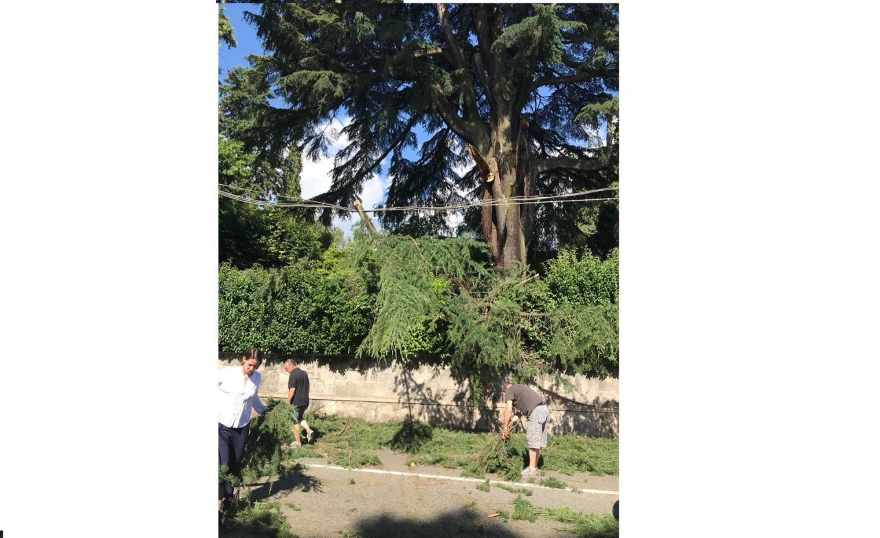 Ramo cade in strada a Meina: Statale sgomberata dal personale dell’Antico Verbano