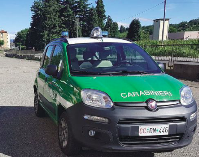 San Pietro Mosezzo: scoperta origine odori molesti, persona denunciata