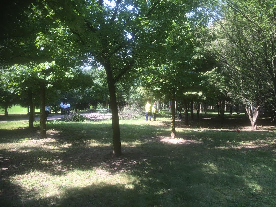 foto 11