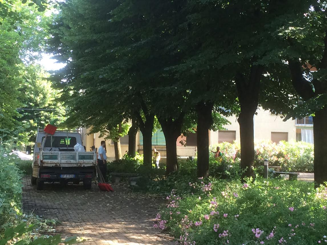 Villaggio Dalmazia, massiccio intervento sulle aree verdi FOTOGALLERY