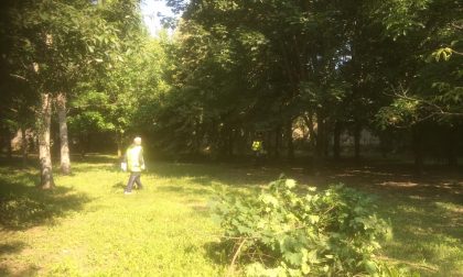Allea detenuti al lavoro per sistemare le panchine