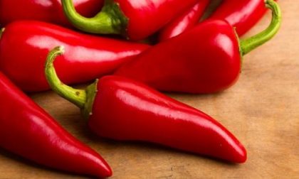 Scoperta novarese, dal peperoncino un composto contro le infiammazioni
