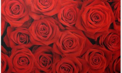 Manda 1800 rose per conquistare una commerciante