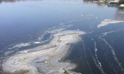 Inquinamento del Lago d'Orta arriva fino in Senato