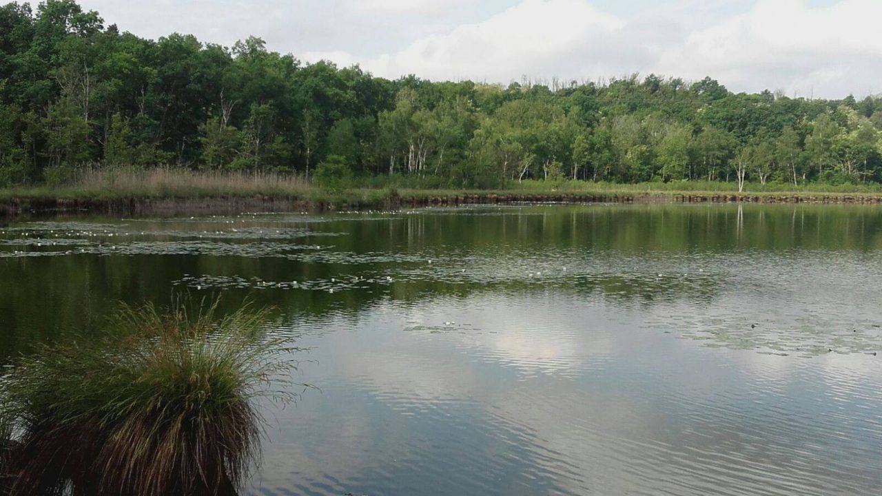 Nuova riserva della biosfera: occasione per il turismo