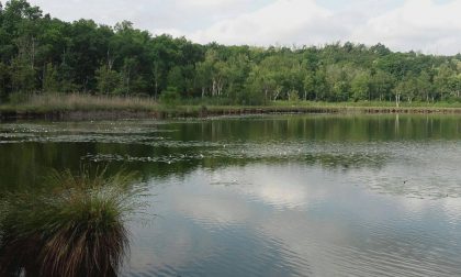 Nuova riserva della biosfera: occasione per il turismo