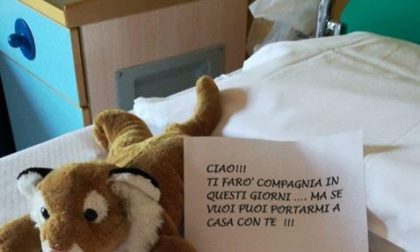 Cercasi peluches per la Pediatria vercellese
