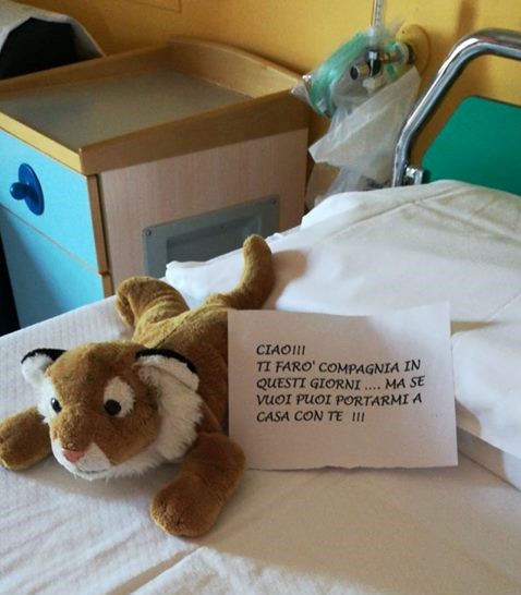 Cercasi peluches per la Pediatria vercellese