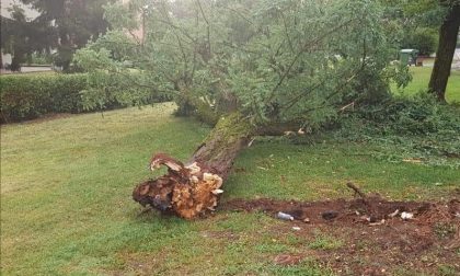 Maltempo, a Oleggio un fiume in piena lungo le strade VIDEO