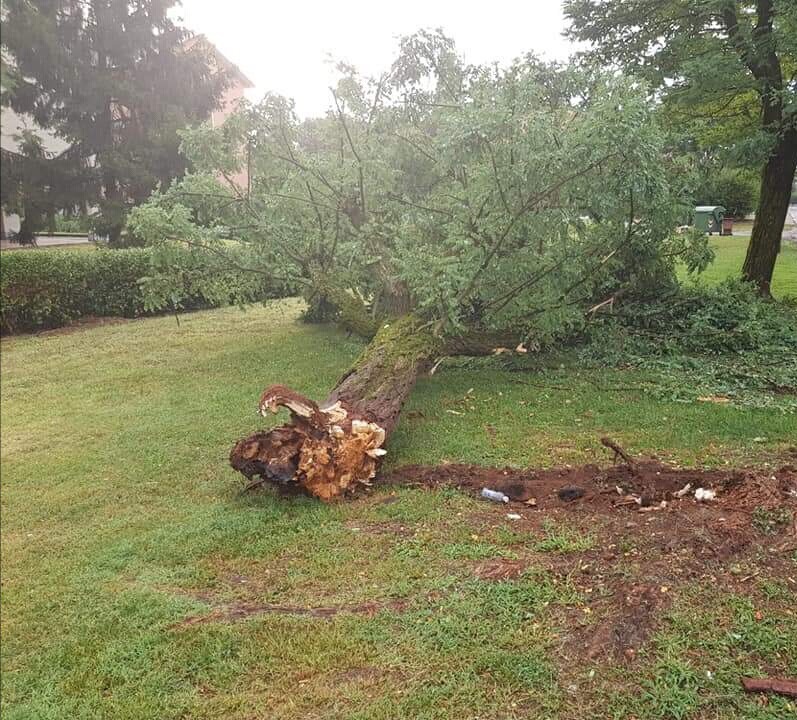 Maltempo, a Oleggio un fiume in piena lungo le strade VIDEO