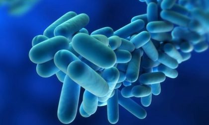 La legionella colpisce la Lombardia: 16 casi e una vittima