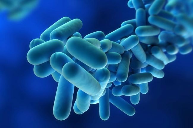 Legionella un caso anche a Stresa
