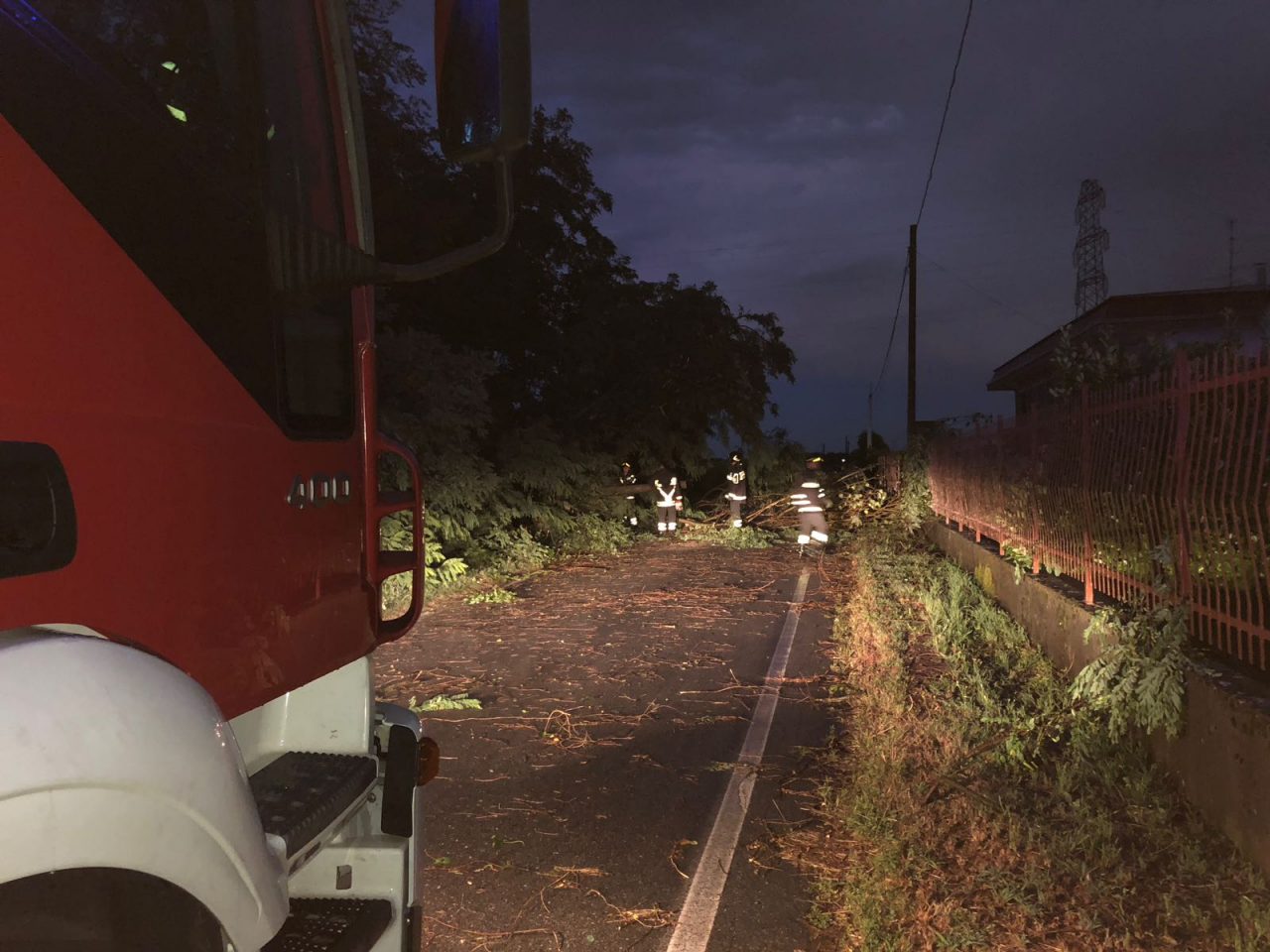 Piante abbattute per vento forte