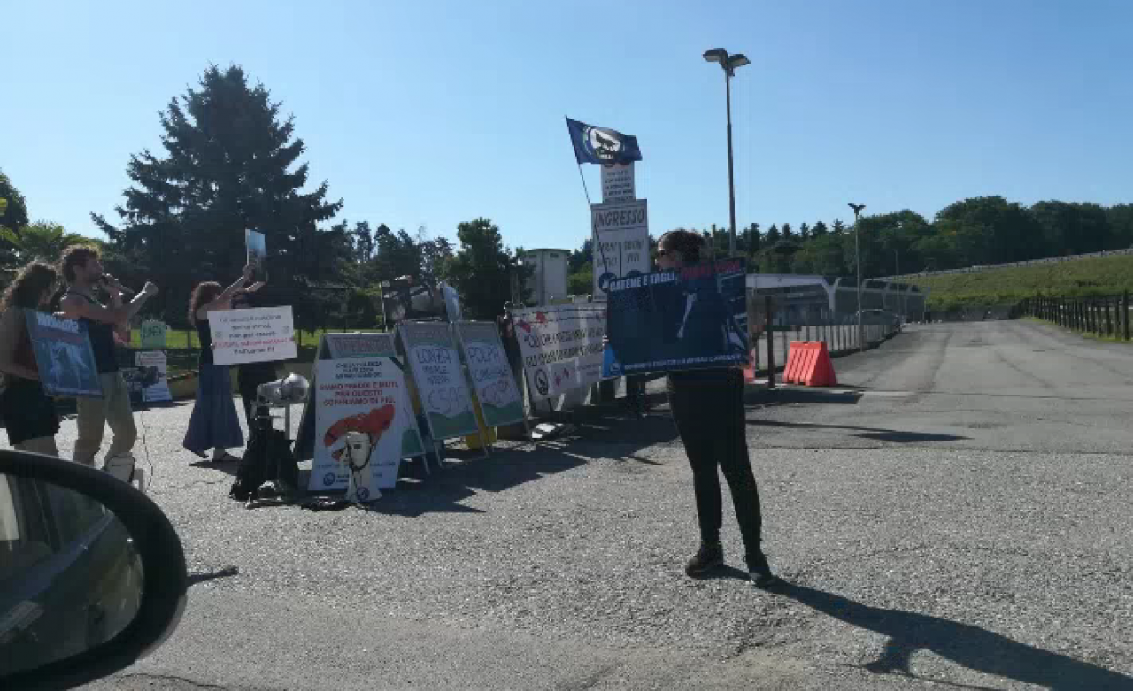 Gattico protesta di vegani e animalisti