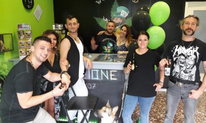 Apre Wonderland: il primo negozio di Arona dedicato ai prodotti a base di canapa