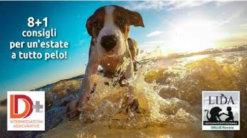 Viaggiare sicuri con il proprio cucciolo