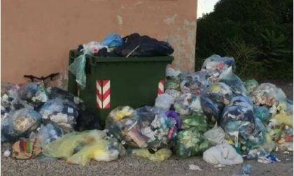 Sporcizia e topi a pochi passi dal centro