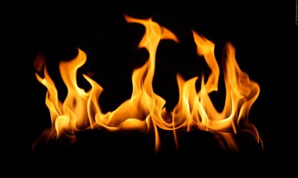 Voleva dare fuoco al formicaio DODICENNE USTIONATO