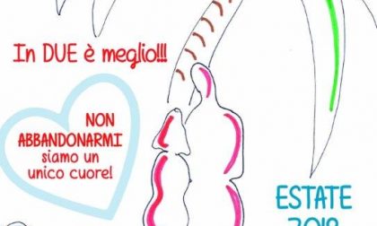 Abbandono degli animali: la campagna "In due è meglio!"