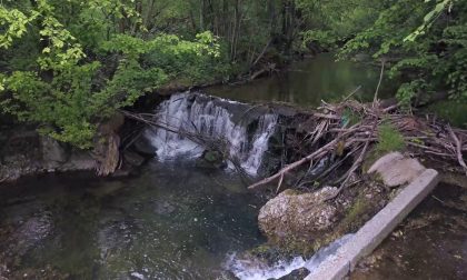 Goletta dei laghi: la foce del Vevera ad Arona è piena di rifiuti