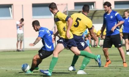 Novara Calcio in serie B? Sale la febbre
