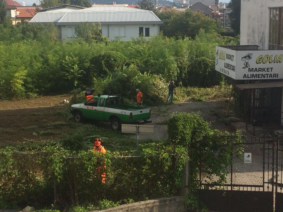 Arona area Ex Itis ripulita dall’Aib