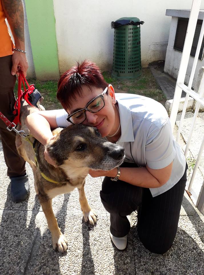 Massacrata di botte, Birba continua a lottare