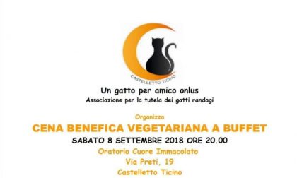Iscrizioni aperte alla cena a favore dei gatti randagi